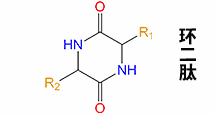 環(huán)二肽cyclo(Tyr-Tyr)