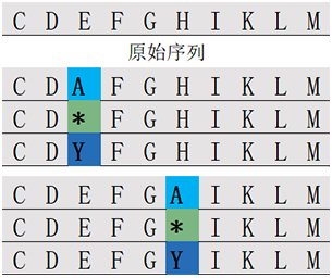 位置掃描肽庫(kù)計(jì)算器(專(zhuān)肽生物www.amynixphotography.com)