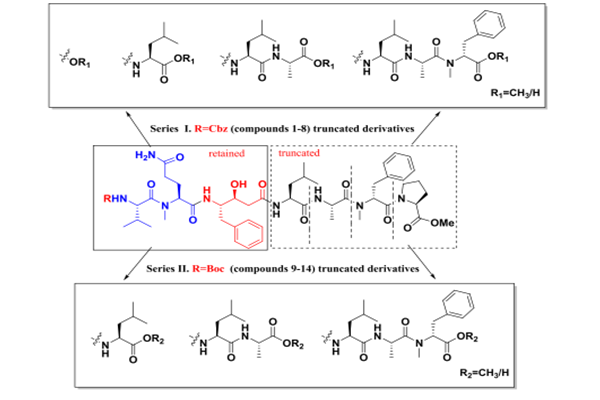 推薦文獻(xiàn)：設(shè)計(jì)，合成和生物活性的tasiamide B衍生物作為組織蛋白酶D抑制劑