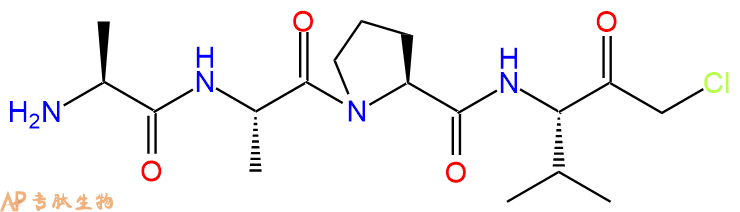 專肽生物產(chǎn)品四肽Ala-Ala-Pro-Val-CMK90105-47-8