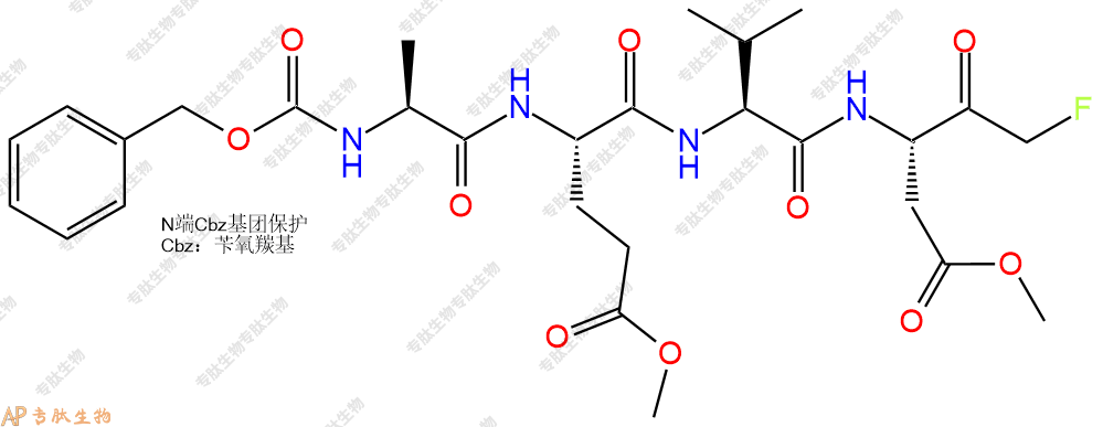 專肽生物產(chǎn)品半胱氨酸蛋白酶Caspase Inhibitor Group III1135688-47-9