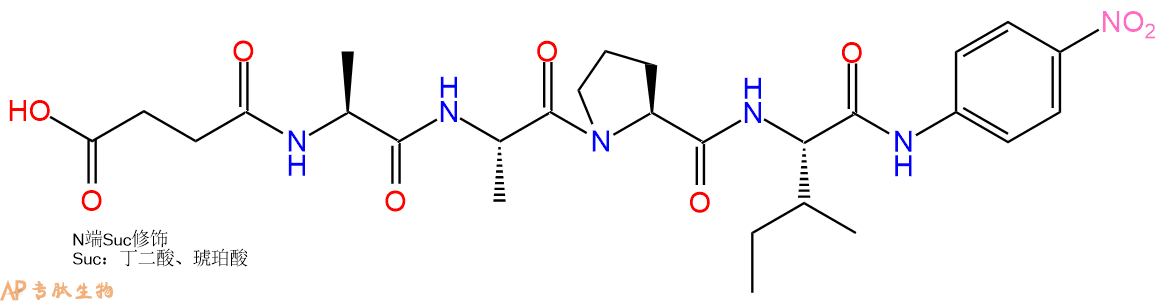 專肽生物產(chǎn)品標(biāo)記肽Suc-AAPI-對(duì)硝基苯胺72682-77-0