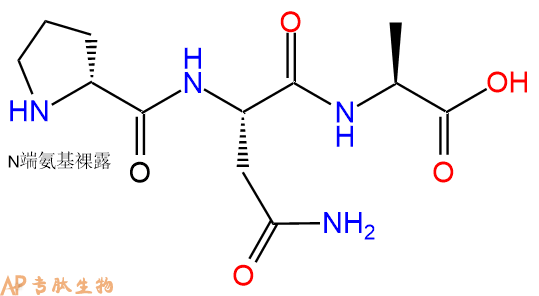 專肽生物產品三肽DPro-Asn-Ala