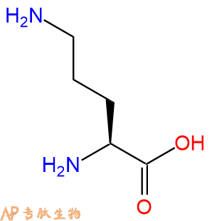 專肽生物產(chǎn)品H2N-Orn-COOH