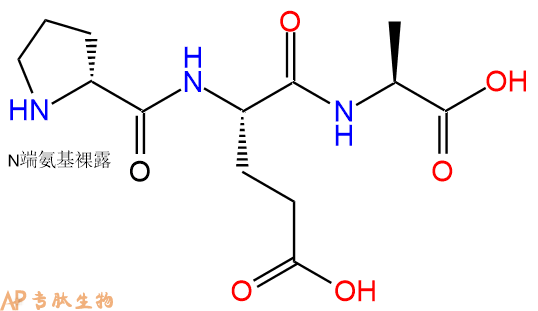 專肽生物產品H2N-DPro-Glu-Ala-COOH