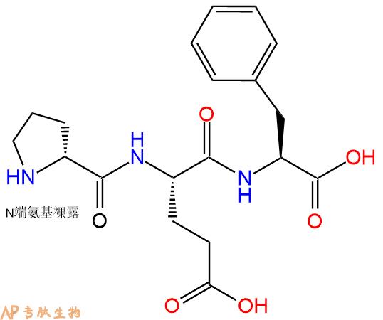 專肽生物產品H2N-DPro-Glu-Phe-COOH