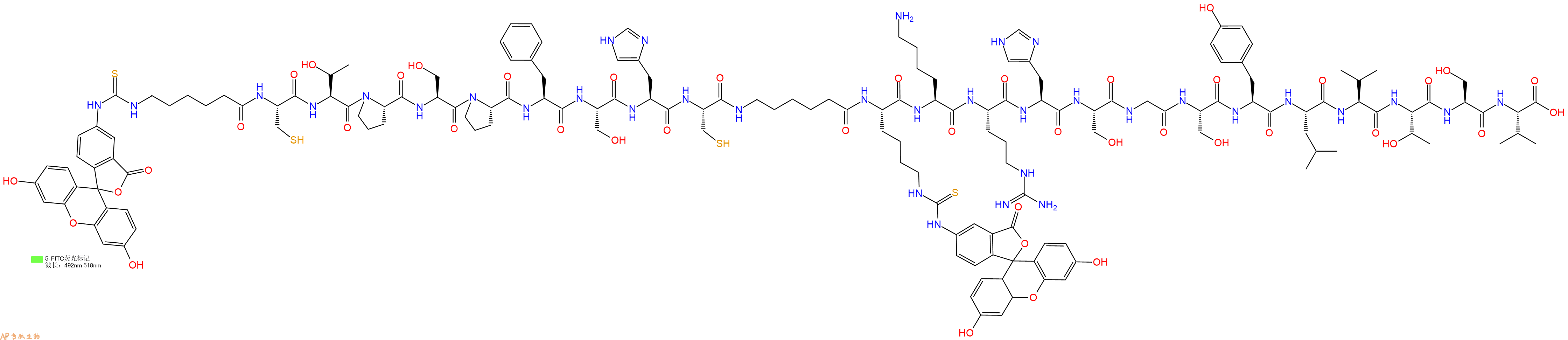 專肽生物產(chǎn)品5FITC-Ahx-Cys-Thr-Pro-Ser-Pro-Phe-Ser-His-Cys-Ahx-Lys(Fitc)-Lys-Arg-His-Ser-Gly-Ser-Tyr-Leu-Val-Thr-Ser-Val-COOH
