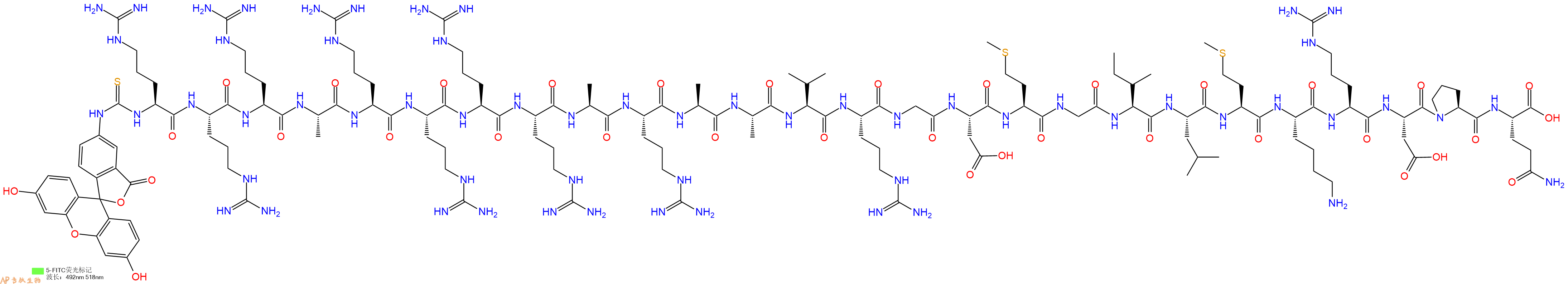 專(zhuān)肽生物產(chǎn)品5FITC-Arg-Arg-Arg-Ala-Arg-Arg-Arg-Arg-Ala-Arg-Ala-Ala-Val-Arg-Gly-Asp-Met-Gly-Ile-Leu-Met-Lys-Arg-Asp-Pro-Gln-OH